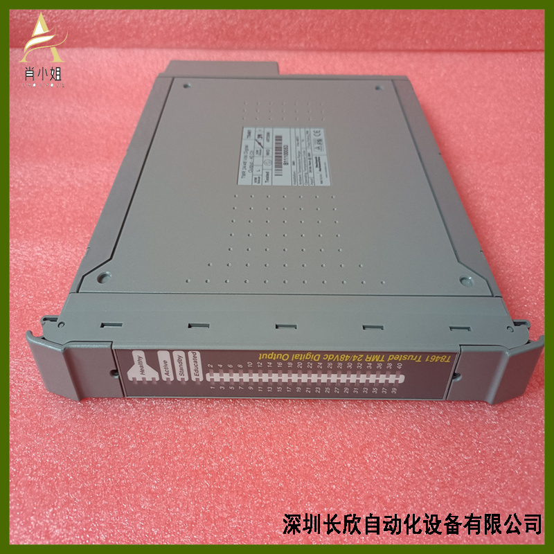 T8461 (5)_副本.jpg